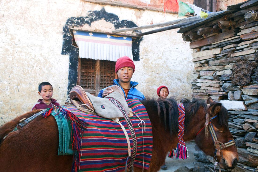 Horse in Tsum Valley