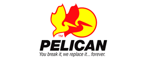 Logo of Pelican Company