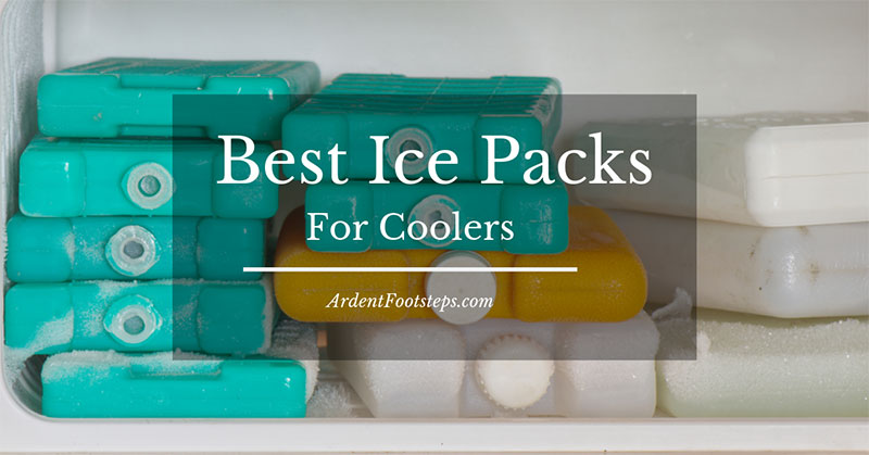 Best Ice Packs For Coolers